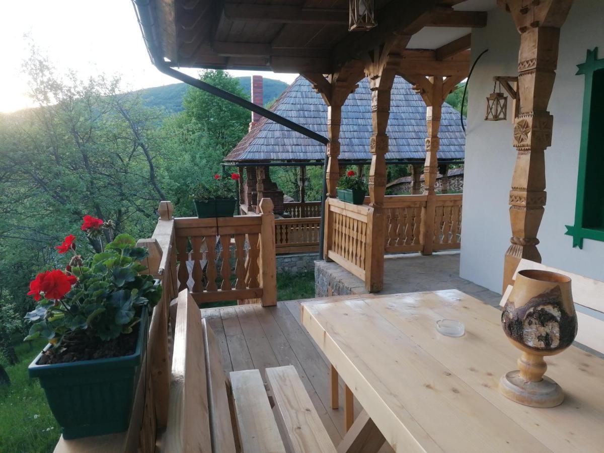 Pensiunea Casuta Din Deal Moisei Exterior photo